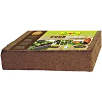 Flower 80070 80070-Coco- 9 l- No Aplica- 10.5x21x5.5 cm